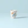 Lenox Dinnerware Butterfly Meadow Orange Sulphur Mug
