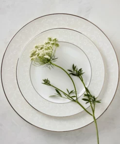 Lenox Opal Innocence⢠5-piece Place Setting Dinnerware
