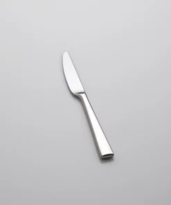 Lenox Continental Dining Butter Knife