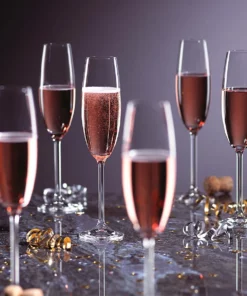 Lenox Tuscany Classics Champagne Glass Set, Buy 4 Get 6