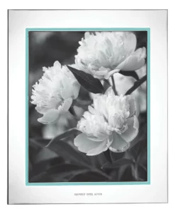 Kate Spade Home Décor Take The Cake™ 8" X 10" Frame