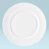 Lenox Swirl Rim Plate Dinnerware