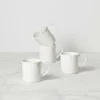 Kate Spade Blossom Lane 4-Piece Mug Set Dinnerware