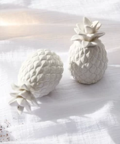 Lenox Wicker Creek Pineapple Salt & Pepper Set